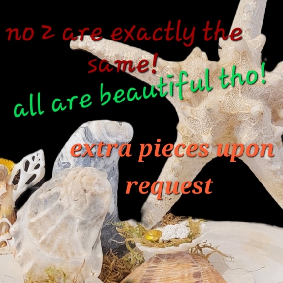 Handmade OysterShell Nativity Scene - Picture 5 of 6